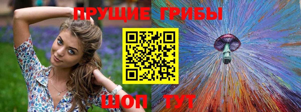 наркота  Галлюциногенные грибы Psilocybine cubensis  Вход с VPN  Галлюциногенные грибы Magic Shrooms  Озёрск 