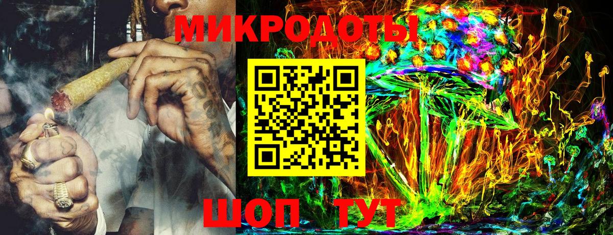Псилоцибиновые грибы Psilocybine cubensis Озёрск